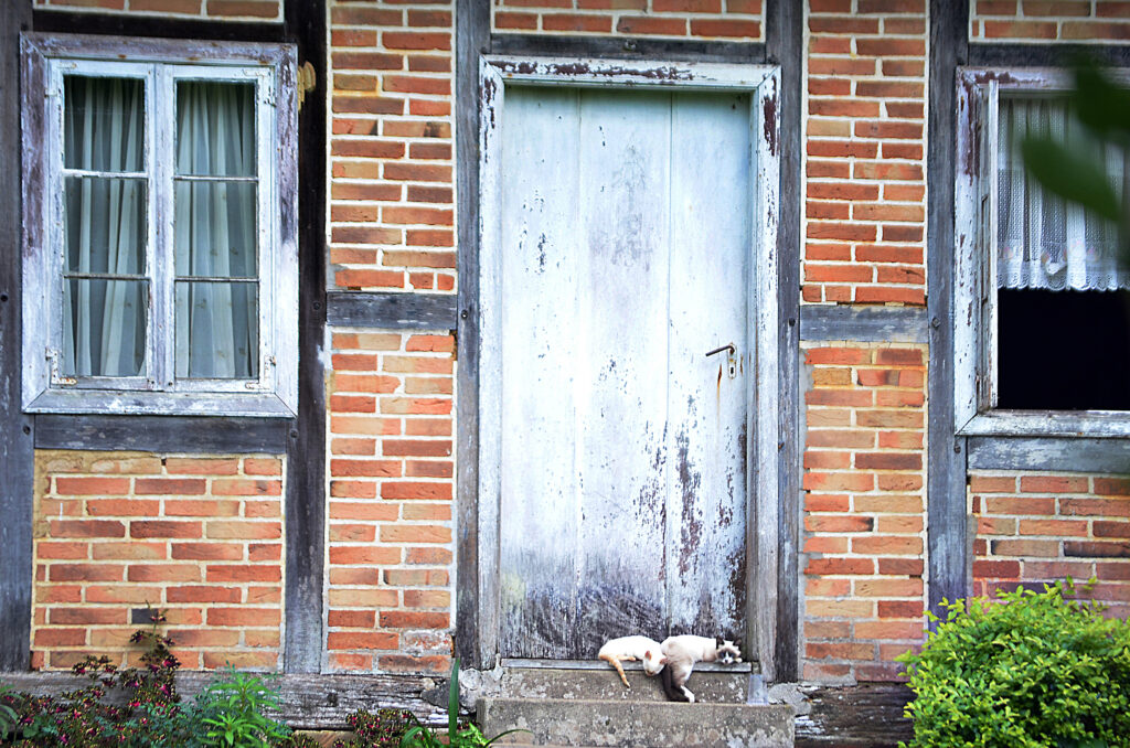 Blumenau-Fotos Eraldo Schnaider (6)